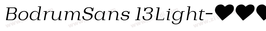 BodrumSans 13Light字体转换